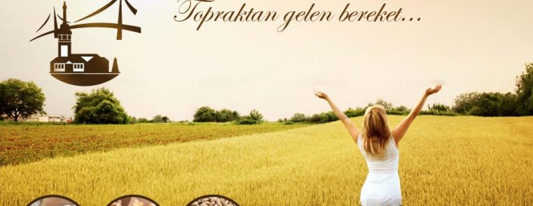 web-dizayn tasarım merkezi