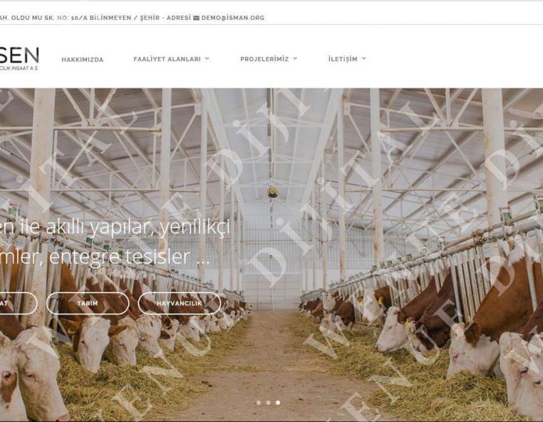 web dizayn idasen inşaat